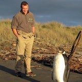 Pinguin Happy Feet