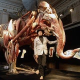 Gunther von Hagens