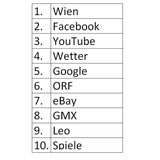 Google-Suchtrends des Jahres 2010