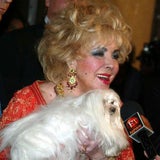 Elizabeth Taylor 2007
