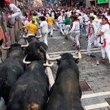 Stierhatz in Pamplona