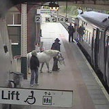 Mann mit Pony