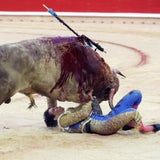Jimenez Fortes