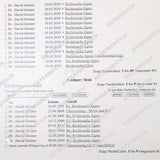 Martin: Die geheimen Rechnungen