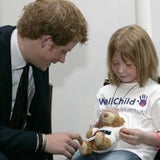 harry kind 3