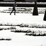 Schnee in Wien