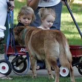 playdate 3