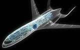 Airbus zeigt durchsichtiges Flugzeug