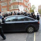 Assange