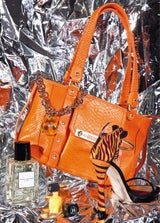Accessoires