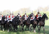 Royal Horse Guard probt für die Hochzeit