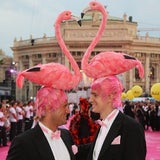 Die schönsten Bilder