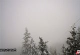Webcam Schnee