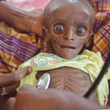 Das Wunder  von Afrika