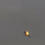 Kampfjet über Benghazi abgeschossen