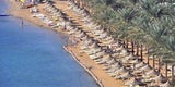 Hai-Attacke auf Urlauber im Roten Meer