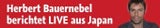 Bauernebel