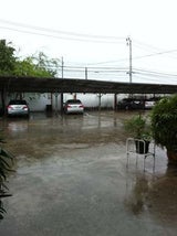 Zigi Mueller bloggt aus Bangkok