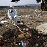 Vermisstensuche in Fukushima hat begonnen