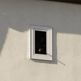 Schüsse vor Papstmesse in Erfurt