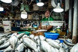 Fischmarkt in Cebu-City. Ein freundliches Lächeln gehört natürlich immer dazu.&nbsp;
