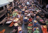 lotustravel7