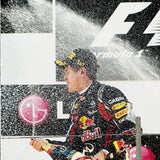 So jubeln Vettel und Red Bull