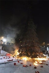 weihnachtsbaum