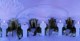 061109_eisdorf2