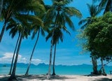 lotustravel8_text