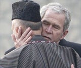 bush