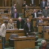 Parlament: Sessel bricht zusammen