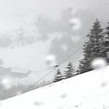 Schnee-Crash: Bus stürzt ab