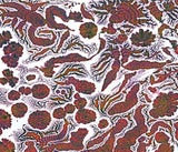 Thomas_Deerinck,_Life_Saving_Drug