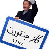 LINZBILD