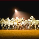 Apassionata 2012