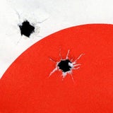Anita_Cruz-Eberhard,_Targets___07