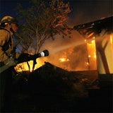 caliReuters8