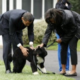obama04_ap