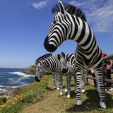 Skurrile Skulpturen am Strand von Sydney