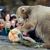knut06