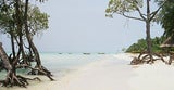 061024_andamane4