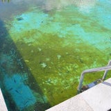 Die ekligsten Hotel-Pools