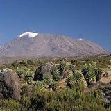 Safari-Abenteuer im Nationalpark