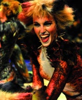 Das Kult Musical "Cats" in Wien