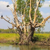 Safari-Abenteuer im Nationalpark