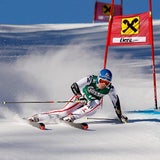 Marlies Schild