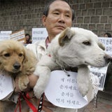 seoul_hunde_reuters_460_3