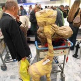 kenia_02_apa