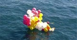 carlia_ballons